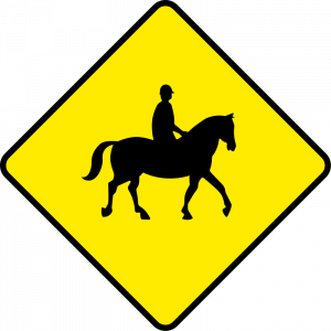 Accompanied horses and ponies